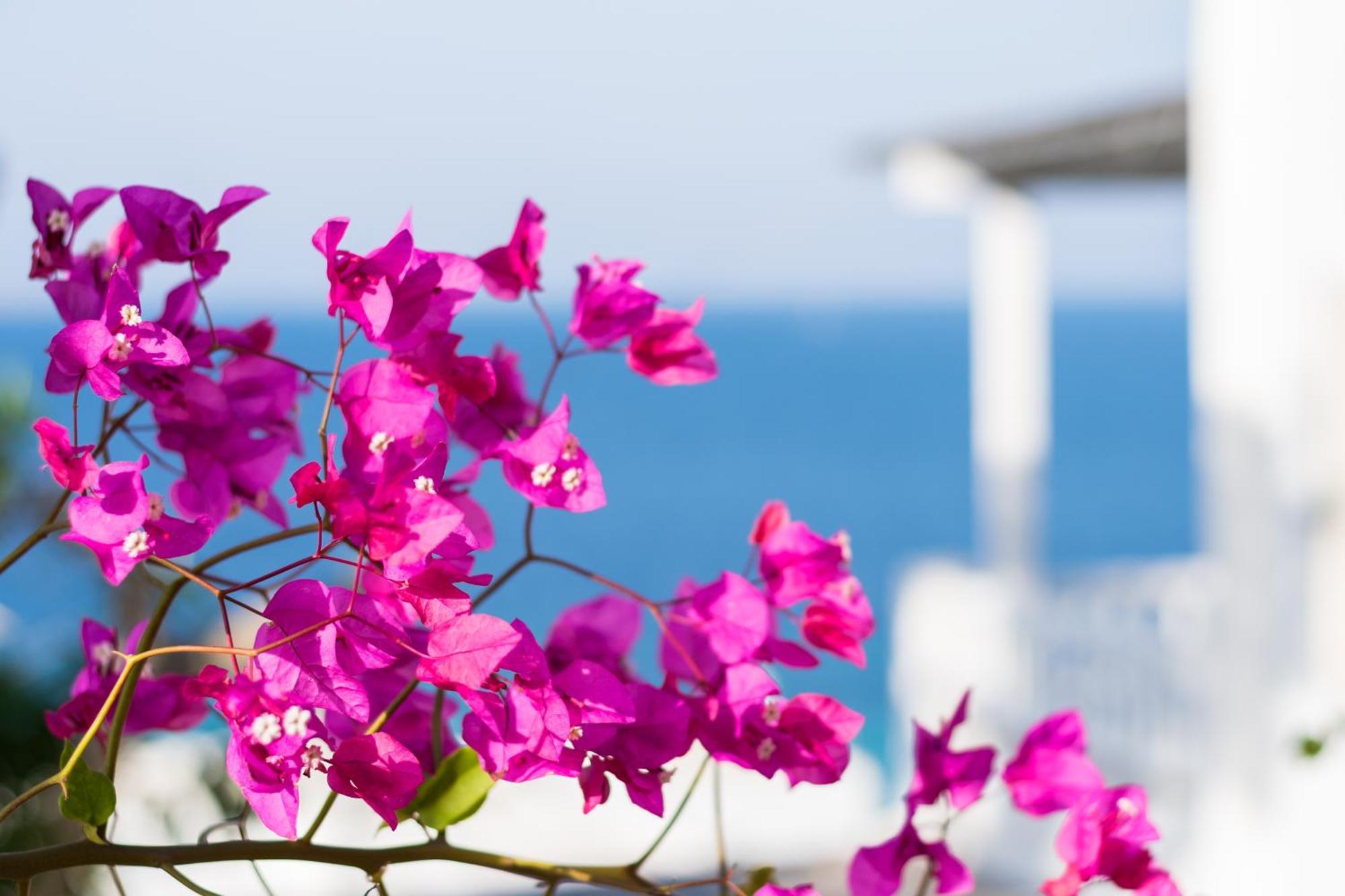 With-Inn Mykonos Suites Tourlos Exterior photo